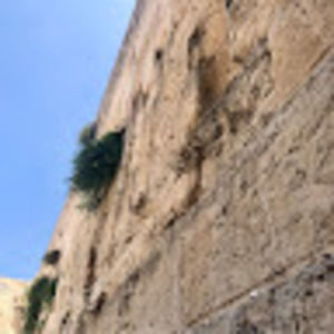 Meet your Posher, Shira